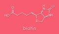 Vitamin B7 biotin molecule. Skeletal formula. Royalty Free Stock Photo