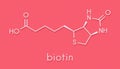 Vitamin B7 biotin molecule. Skeletal formula.