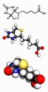 Vitamin B7 (biotin) molecule