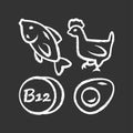 Vitamin B12 chalk icon. Fish, poultry and egg. Healthy eating. Cobalamin natural food source. Proper nutrition. Minerals