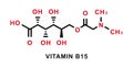 Vitamin B15 chemical formula. Vitamin B15 chemical molecular structure. Vector illustration
