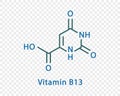 Vitamin B13 chemical formula. Vitamin B13 structural chemical formula isolated on transparent background.