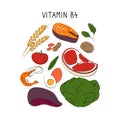 Vitamin B4 Choline. Groups of healthy products containing vitamins. Set of fruits, vegetables, meats, fish and dairy Royalty Free Stock Photo