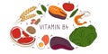 Vitamin B4 Choline. Groups of healthy products containing vitamins. Set of fruits, vegetables, meats, fish and dairy