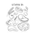 Vitamin B4 Choline. Groups of healthy products containing vitamins. Set of fruits, vegetables, meats, fish and dairy. Royalty Free Stock Photo