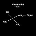 Vitamin B4. Choline Molecular chemical formula. Infographics. Vector illustration on black background Royalty Free Stock Photo