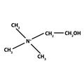 Vitamin B4. Choline Molecular chemical formula. Infographics. Vector illustration on isolated background.