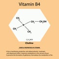Vitamin B4. Choline Molecular chemical formula. Useful properties of vitamin. Infographics. Vector illustration on Royalty Free Stock Photo