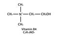 Vitamin B4 Choline molecular structure. Vitamin B4 Choline skeletal chemical formula. Chemical molecular formulas