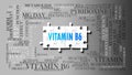 Vitamin b6 - a complex subject, related to many concepts. Pictured as a puzzle and a word cloud made of most important ideas and