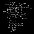 Vitamin B12. cyanocobalamin Molecular chemical formula. Infographics. Vector illustration on black background.