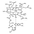 Vitamin B12. cyanocobalamin Molecular chemical formula. Infographics. Vector illustration on isolated background.