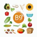 Vitamin B9 folate. A set of organic organic foods with a high content of vitamin