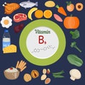 Vitamin B9 or folic acid infographic