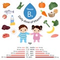 Vitamin B9 or folic acid infographic