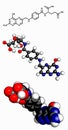 Vitamin B9 (folic acid) molecule