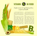 Vitamin B9 in Food