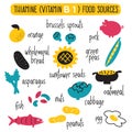 Vitamin B 1 food sources, thiamine. Vector cartoon illustration.