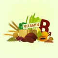 Vitamin B9 in Food