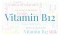 Vitamin B12 horizontal word cloud. Royalty Free Stock Photo