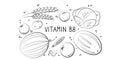 Vitamin B8 Inositol. Groups of healthy products containing vitamins. Set of fruits, vegetables, meats, fish and dairy