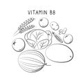 Vitamin B8 Inositol. Groups of healthy products containing vitamins. Set of fruits, vegetables, meats, fish and dairy