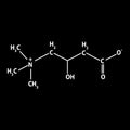 Vitamin B11. L-carnitine Molecular chemical formula. Infographics. Vector illustration on black background. Royalty Free Stock Photo