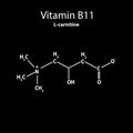 Vitamin B11. L-carnitine Molecular chemical formula. Infographics. Vector illustration on black background. Royalty Free Stock Photo