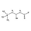 Vitamin B11. L-carnitine Molecular chemical formula. Infographics. Vector illustration on isolated background. Royalty Free Stock Photo