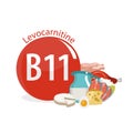 Vitamin B11 Levocarnitine. Natural organic foods with high vitamin content Royalty Free Stock Photo