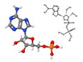 Vitamin B8 molecule with chemical formula