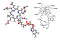 Vitamin B12 molecule with chemical formula