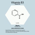 Vitamin B3. A nicotinic acid. Niacin, Vitamin PP. Molecular chemical formula. Useful properties of vitamin. Infographics