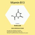 Vitamin B13. Orotic acid Molecular chemical formula. Useful properties of vitamin. Infographics. Vector illustration on