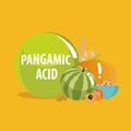 Vitamin B15 Pangamic acid. Natural organic foods with high vitamin conte