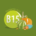 Vitamin B15 Pangamic acid. Natural organic foods with high vitamin conte