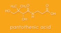 Vitamin B5 pantothenic acid, pantothenate molecule. Skeletal formula. Royalty Free Stock Photo