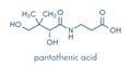 Vitamin B5 pantothenic acid, pantothenate molecule. Skeletal formula. Royalty Free Stock Photo