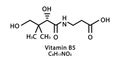 Vitamin B5 Pantothenic molecular structure. Vitamin B5 Pantothenic skeletal chemical formula. Chemical molecular