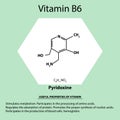 Vitamin B6. Pyridoxine Molecular chemical formula. Useful properties of vitamin. Infographics. Vector illustration on