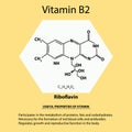 Vitamin B2. Riboflavin Molecular chemical formula. Useful properties of vitamin. Infographics. Vector illustration on