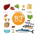 Vitamin B2 riboflavin. A set of organic organic foods with a high content of vitamin