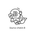 Vitamin B source icon. Thin line vitamin sign, dieting products for healthy immune system and metabolism