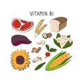 Vitamin B1 Thiamin . Groups of healthy products containing vitamins. Set of fruits, vegetables, meats, fish and dairy Royalty Free Stock Photo