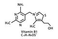 Vitamin B1 Thiamine molecular structure. Vitamin B1 Thiamine skeletal chemical formula. Chemical molecular formulas