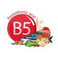 Vitamin B5 (Pantothenic acid). Natural organic foods with high vitamin content