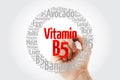 Vitamin B5 word cloud collage, health concept background