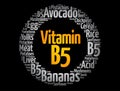 Vitamin B5 word cloud collage, health concept Royalty Free Stock Photo