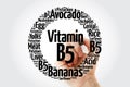 Vitamin B5 word cloud collage, health concept background