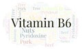 Vitamin B6 word cloud. Royalty Free Stock Photo